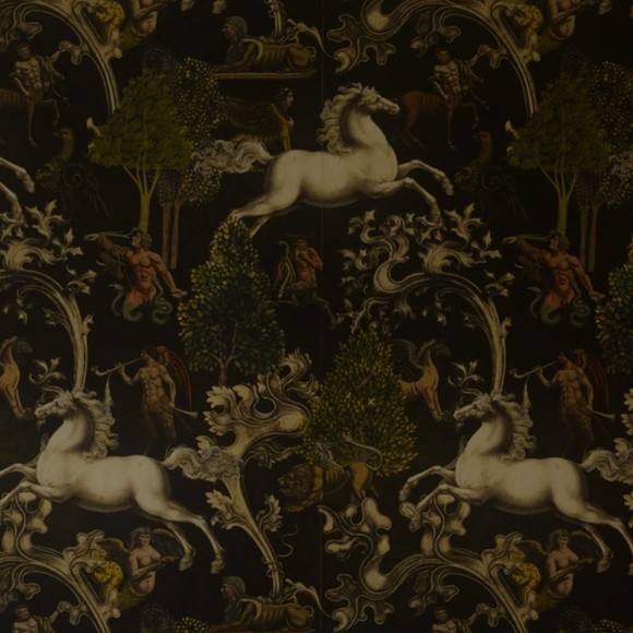 Meet your Posher, Frances - Picture 1 of 1